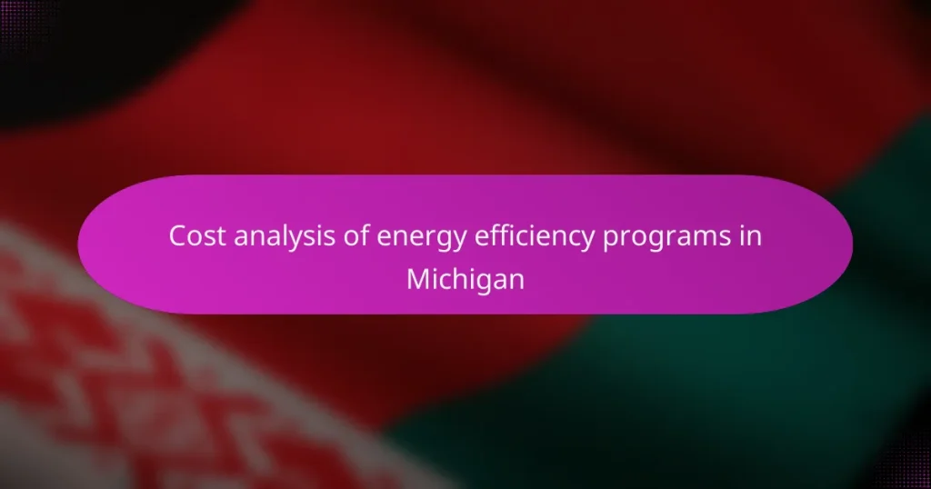 Cost analysis of energy efficiency programs in Michigan