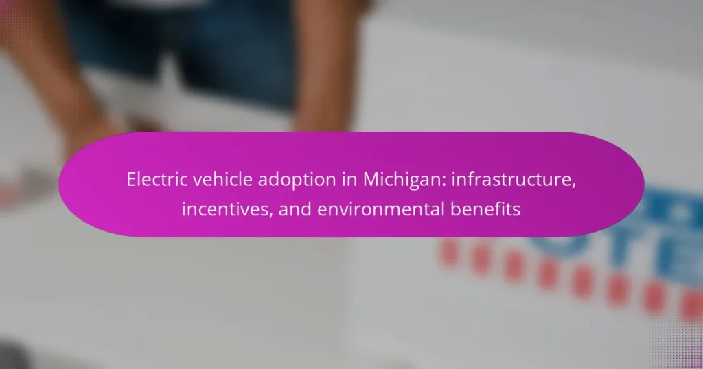 Electric vehicle adoption in Michigan: infrastructure, incentives, and environmental benefits