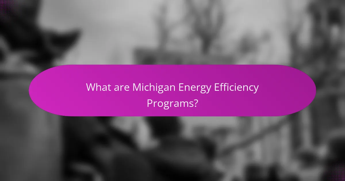 What are Michigan Energy Efficiency Programs?