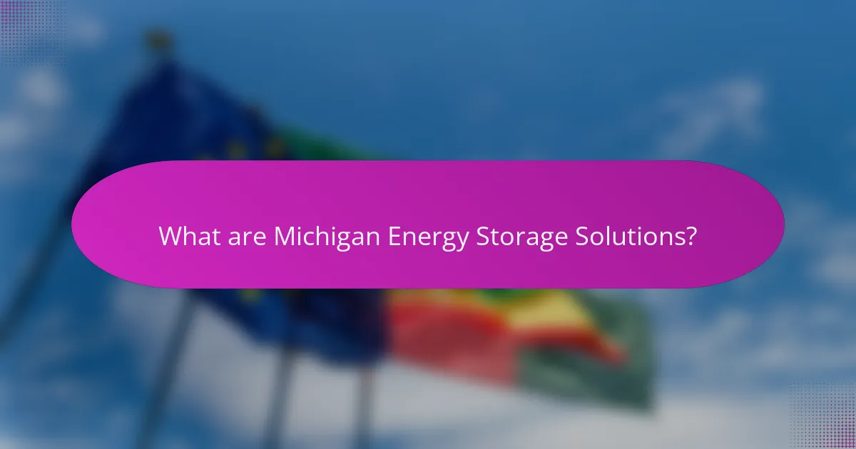 What are Michigan Energy Storage Solutions?