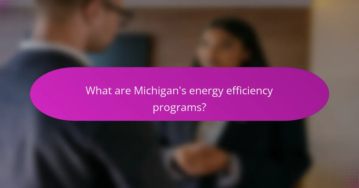 What are Michigan's energy efficiency programs?