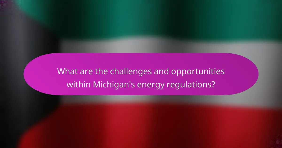 What are the challenges and opportunities within Michigan's energy regulations?