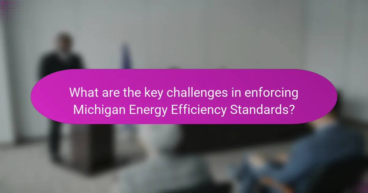 What are the key challenges in enforcing Michigan Energy Efficiency Standards?