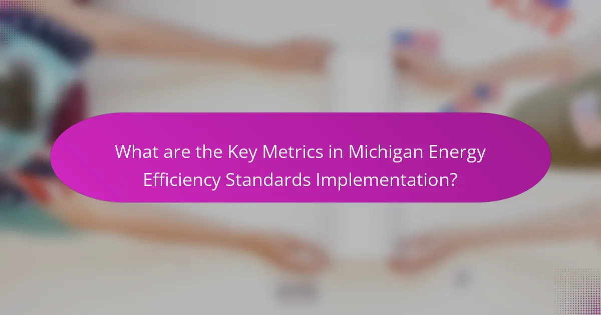 What are the Key Metrics in Michigan Energy Efficiency Standards Implementation?