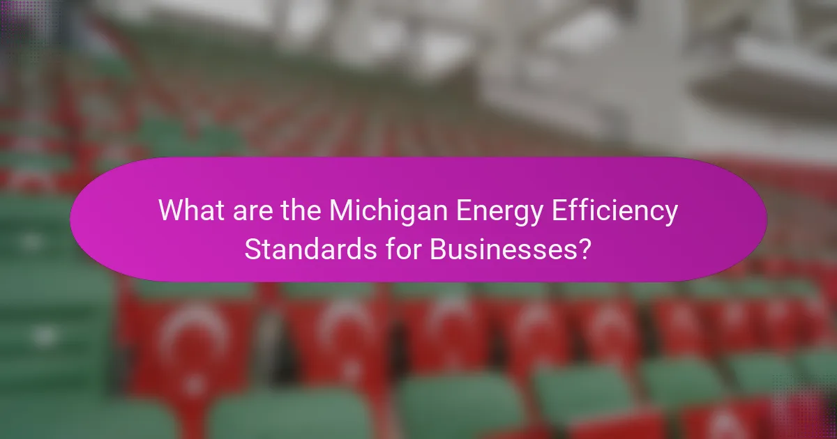 What are the Michigan Energy Efficiency Standards for Businesses?