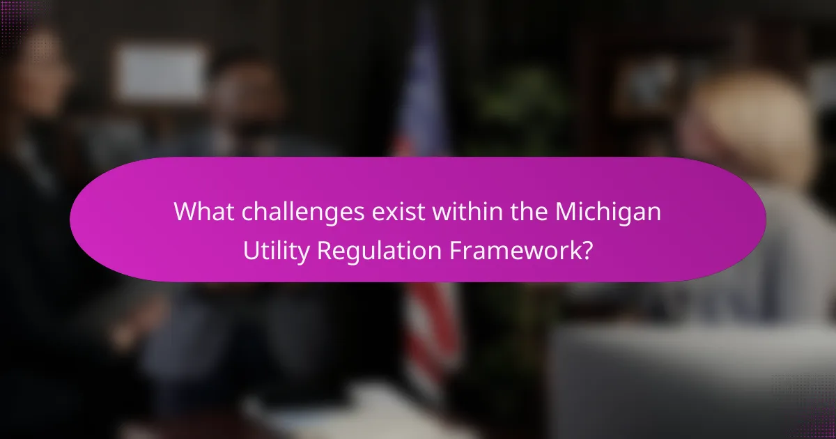 What challenges exist within the Michigan Utility Regulation Framework?