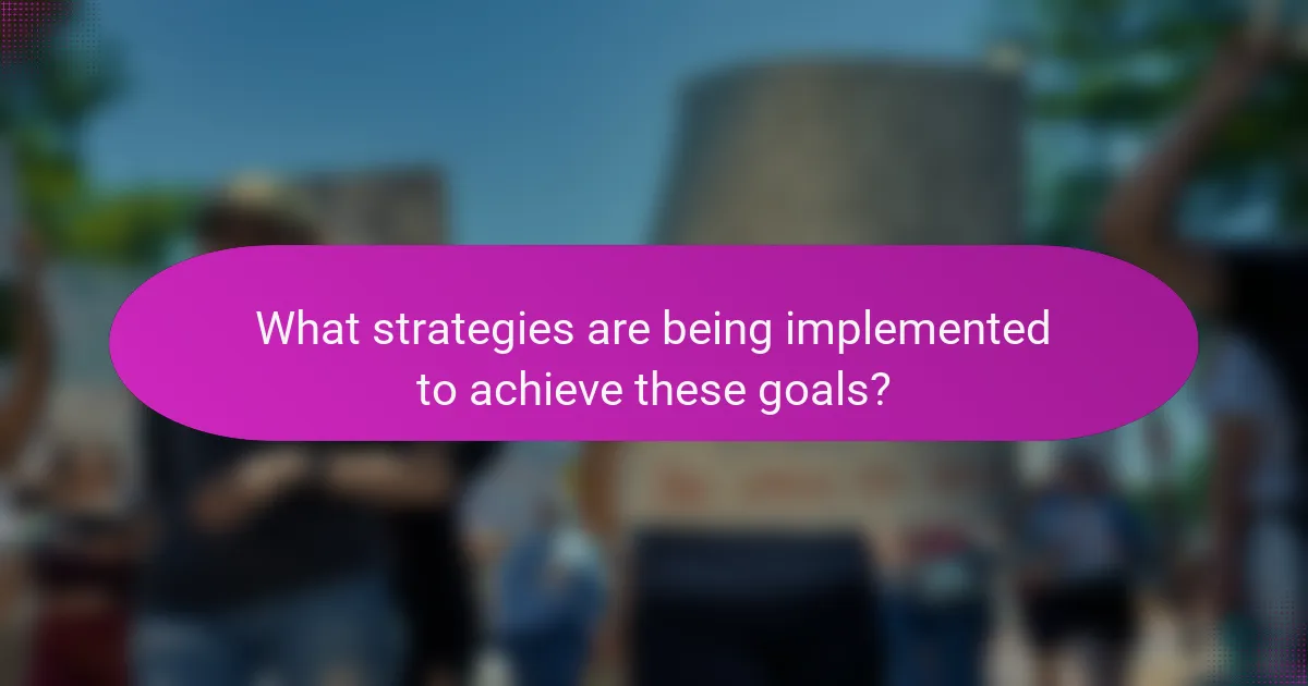 What strategies are being implemented to achieve these goals?